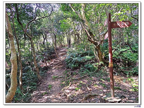 土城 十八羅漢岩 成福山