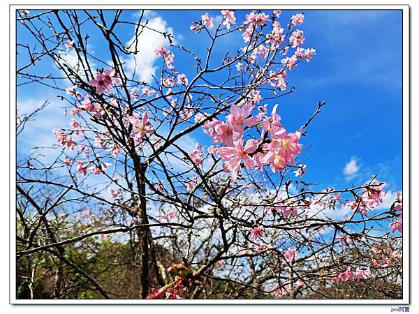 大香山慈音巖 員潭子坑山 待老坑山