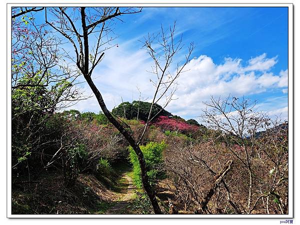 大香山慈音巖 員潭子坑山 待老坑山