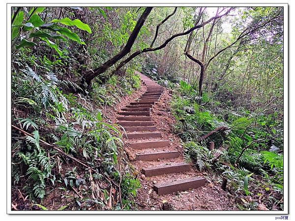 土城 石門內尖山 石門內尖東峰 火焰山