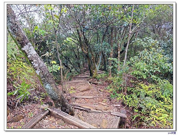 土城 石門內尖山 石門內尖東峰 火焰山