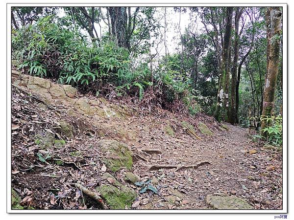 土城 石門內尖山 石門內尖東峰 火焰山