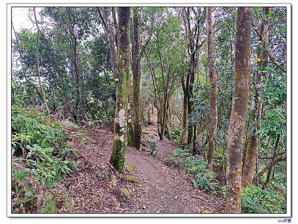 土城 石門內尖山 石門內尖東峰 火焰山