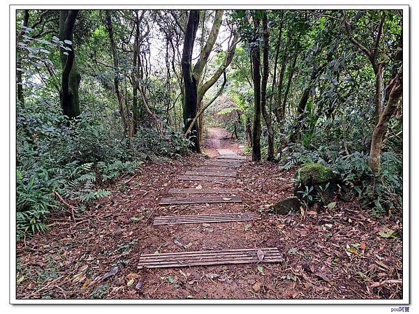 土城 石門內尖山 石門內尖東峰 火焰山