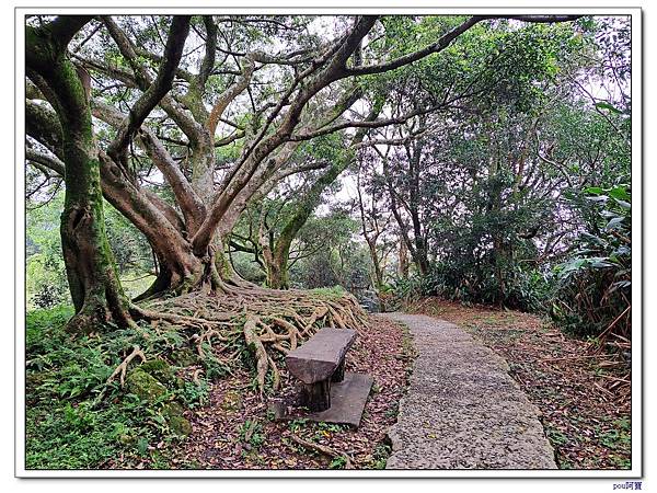 土城 石門內尖山 石門內尖東峰 火焰山