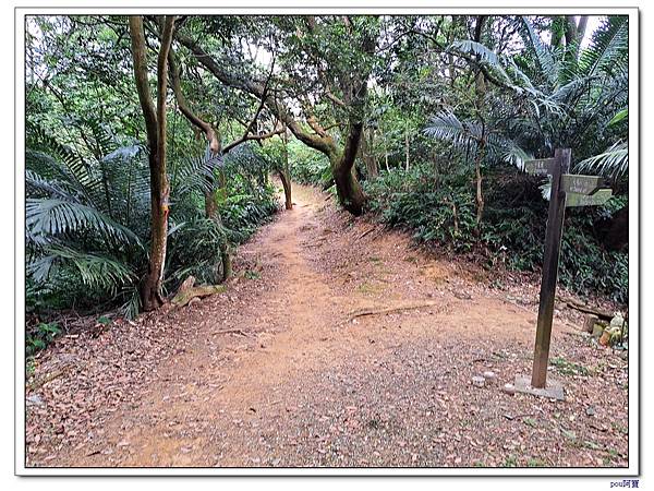 龜山 關公嶺 大棟山 大青坑崙 青龍嶺 三角埔頂山