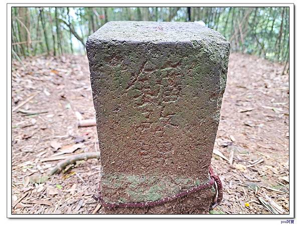 龜山 關公嶺 大棟山 大青坑崙 青龍嶺 三角埔頂山