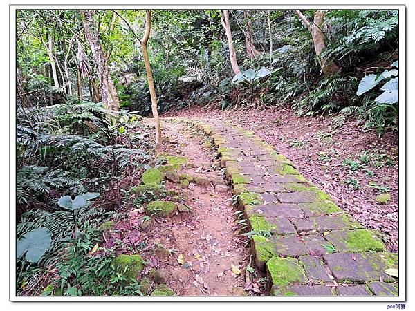 土城 大暖尖山 猴洞