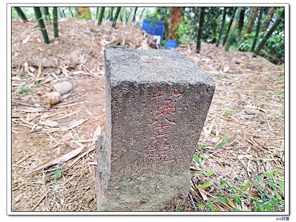 鶯歌 北鶯山 鶯歌石山 阿南坑山 牛灶坑山 龜公山