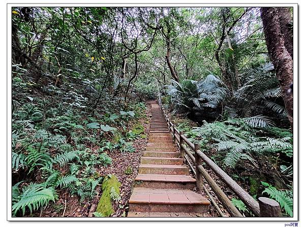 鶯歌 北鶯山 鶯歌石山 阿南坑山 牛灶坑山 龜公山