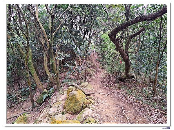 鶯歌 北鶯山 鶯歌石山 阿南坑山 牛灶坑山 龜公山