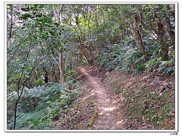 土城 南天母山 天上山