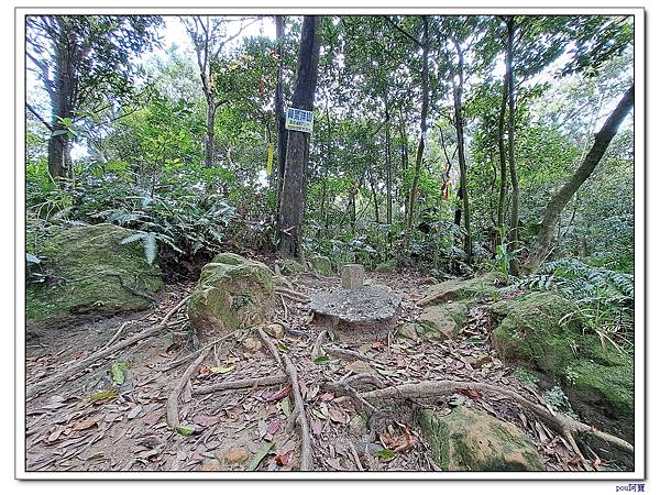 深坑 阿柔洋山 二格山