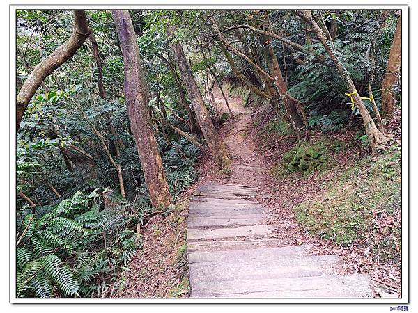 深坑 阿柔洋山 二格山