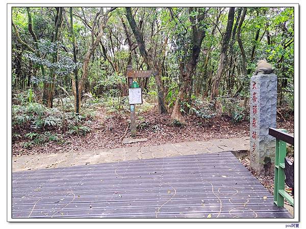 內湖 碧山 梅花山 梅花山北峰 大崙頭山