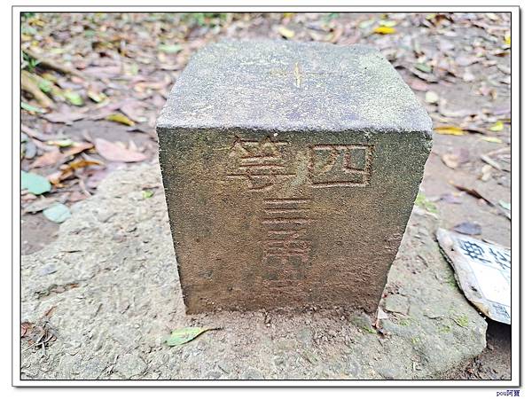 內湖 碧山 梅花山 梅花山北峰 大崙頭山