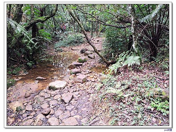 內湖 碧山 梅花山 梅花山北峰 大崙頭山