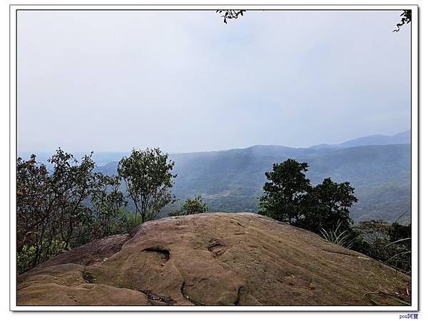 內湖 碧山 梅花山 梅花山北峰 大崙頭山