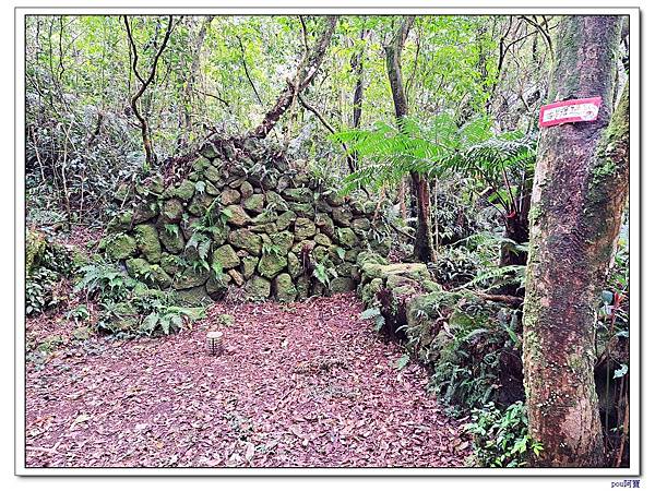 內湖 碧山 梅花山 梅花山北峰 大崙頭山