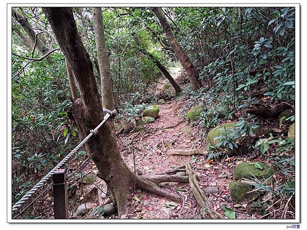 泰山 瓊仔湖山北峰 瓊仔湖山 尖凍山 山腳頂山