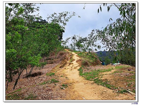 泰山 瓊仔湖山北峰 瓊仔湖山 尖凍山 山腳頂山