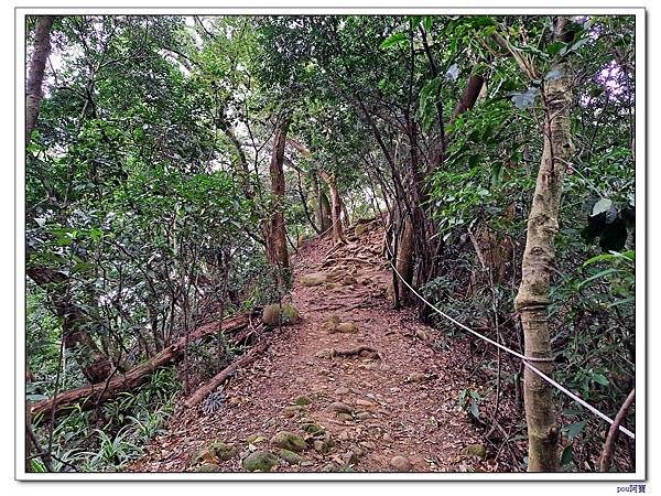 泰山 瓊仔湖山北峰 瓊仔湖山 尖凍山 山腳頂山