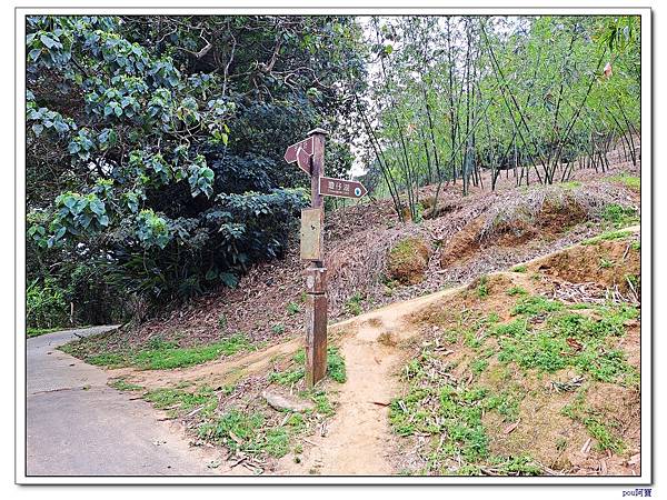 泰山 瓊仔湖山北峰 瓊仔湖山 尖凍山 山腳頂山