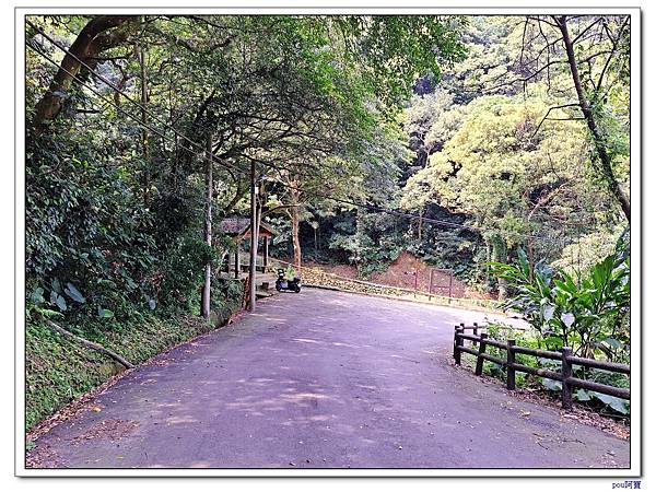 鶯歌 百年大榕樹 福源山 石雲禪寺 石灰坑山