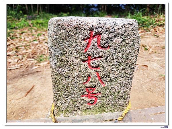 鶯歌 百年大榕樹 福源山 石雲禪寺 石灰坑山