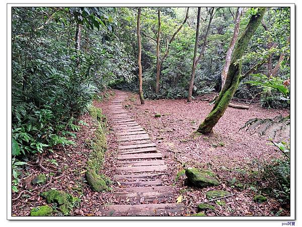 新店 銀河洞 待老坑山