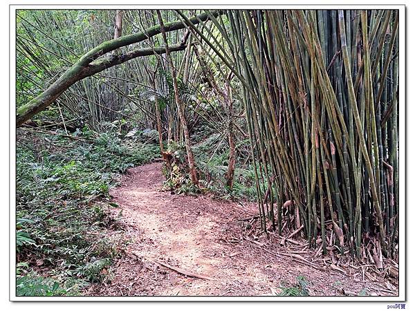 大溪 溪洲山 新溪洲山