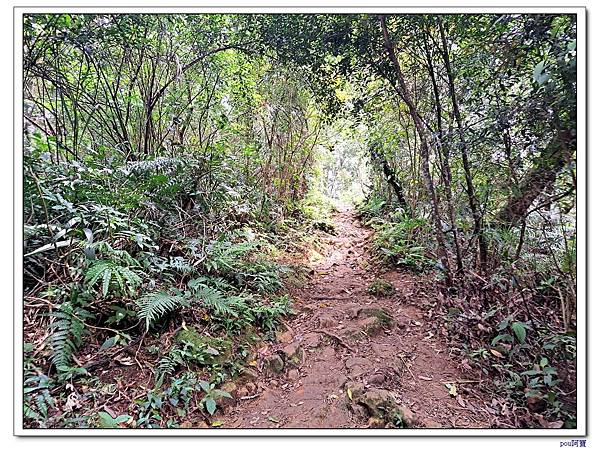 大溪 溪洲山 新溪洲山