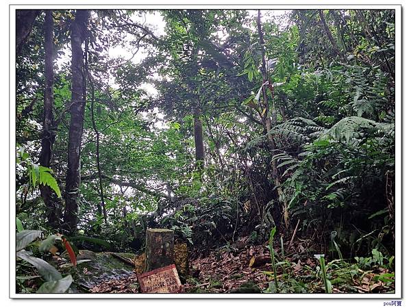 大溪 溪洲山 新溪洲山