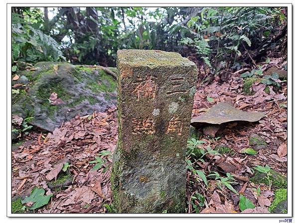 大溪 溪洲山 新溪洲山