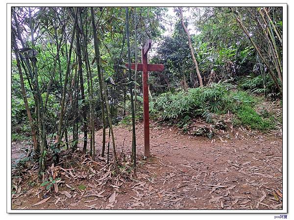 大溪 溪洲山 新溪洲山