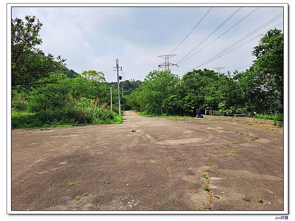 龜山 新嶺步道桐花 大湖頂山 大棟山