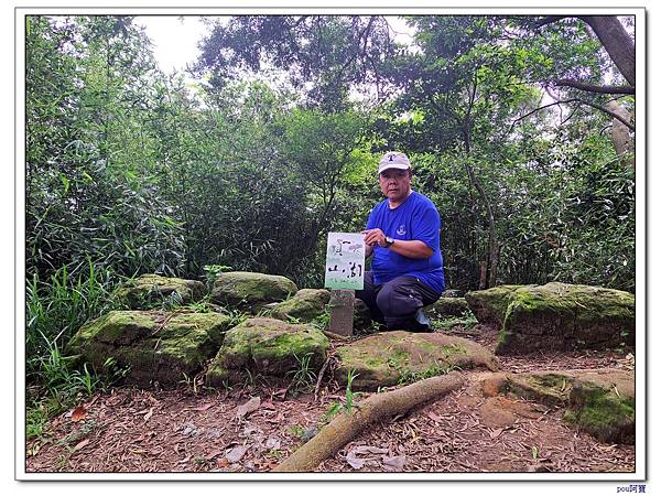 龜山 新嶺步道桐花 大湖頂山 大棟山