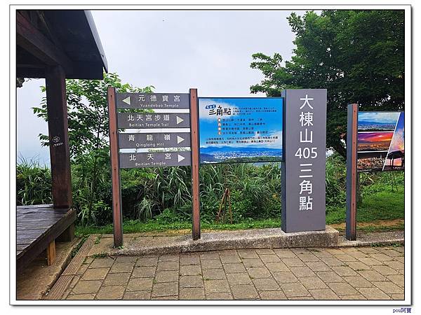 龜山 新嶺步道桐花 大湖頂山 大棟山