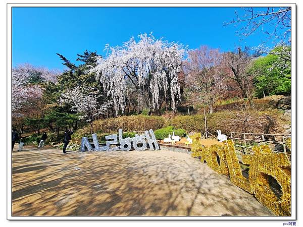 弘濟川瀑布咖啡廳 延禧森林休息區 鞍山公園櫻花路