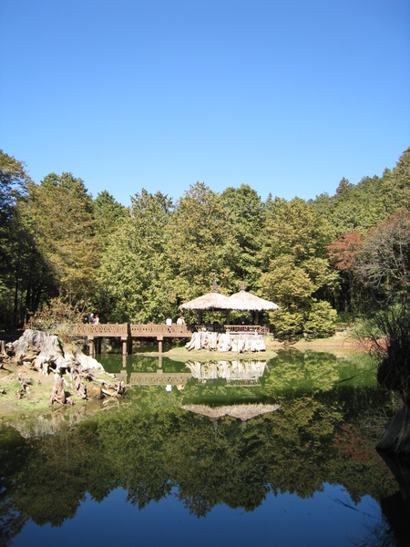 阿里山-姐妹潭