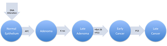 colon sproadic ca