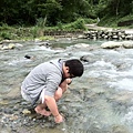 IMG_3341