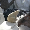 Polar Bear.JPG