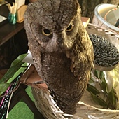 IMG_7654.JPG IMG_7654.JPG