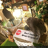 IMG_7664.JPG IMG_7664.JPG