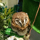 IMG_7674.JPG IMG_7674.JPG