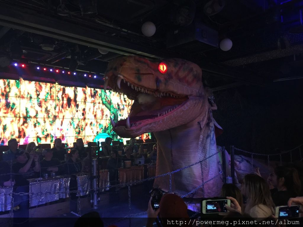 IMG_1347.JPG IMG_1347.JPG