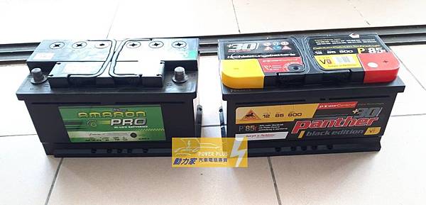 印度愛馬龍&德國黑豹 印度愛馬龍&德國黑豹