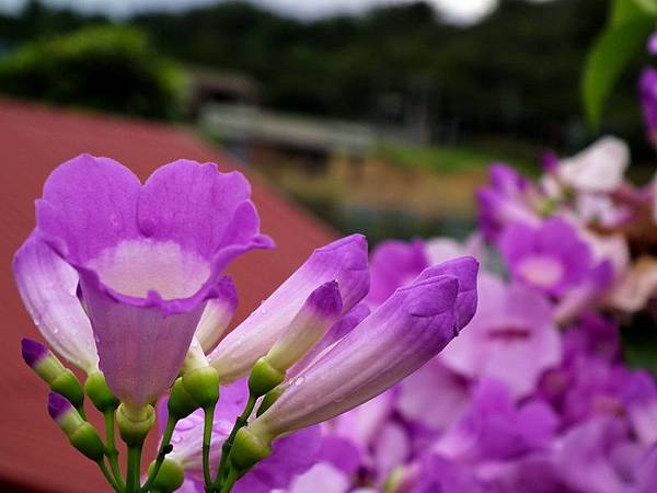 DSCF9718 DSCF9718