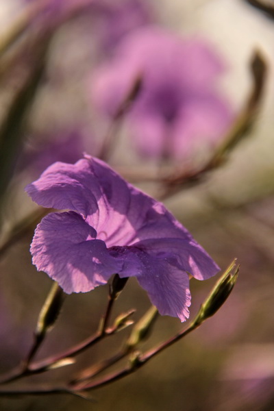IMG_9749 IMG_9749